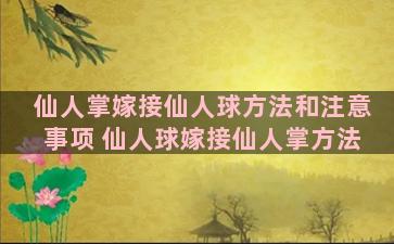 仙人掌嫁接仙人球方法和注意事项 仙人球嫁接仙人掌方法